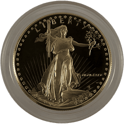 AMERICAN PROOF GOLD EAGLE - 1 OZ AMERICAN GOLD EAGLE PROOF - CAPSULE ONLY